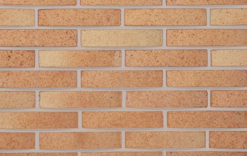 آجر نسوز نما پلاک شاموتی AP31