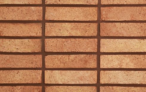 آجر نسوز نما رستیک AR19