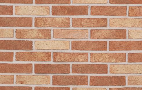 آجر نسوز نما رستیک AR81