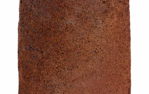 آجر نسوز نما قرمز آمریکایی رستیک آذرخش 2.5*10*10-AR43