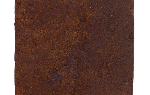 آجر نسوز نما قرمز آمریکایی جدید رستیک آذرخش 2.5*20*20-AR57