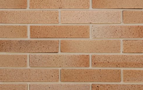 آجر شاموتی نسوز نما پلاک AP40