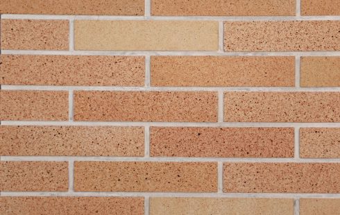 آجرنسوز نما شاموتی پلاک AP40